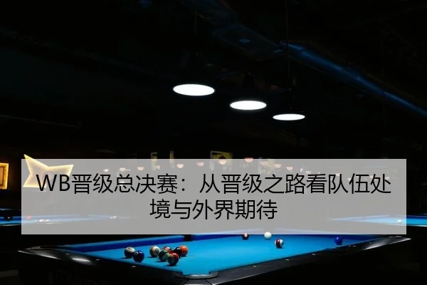 WB晋级总决赛：从晋级之路看队伍处境与外界期待